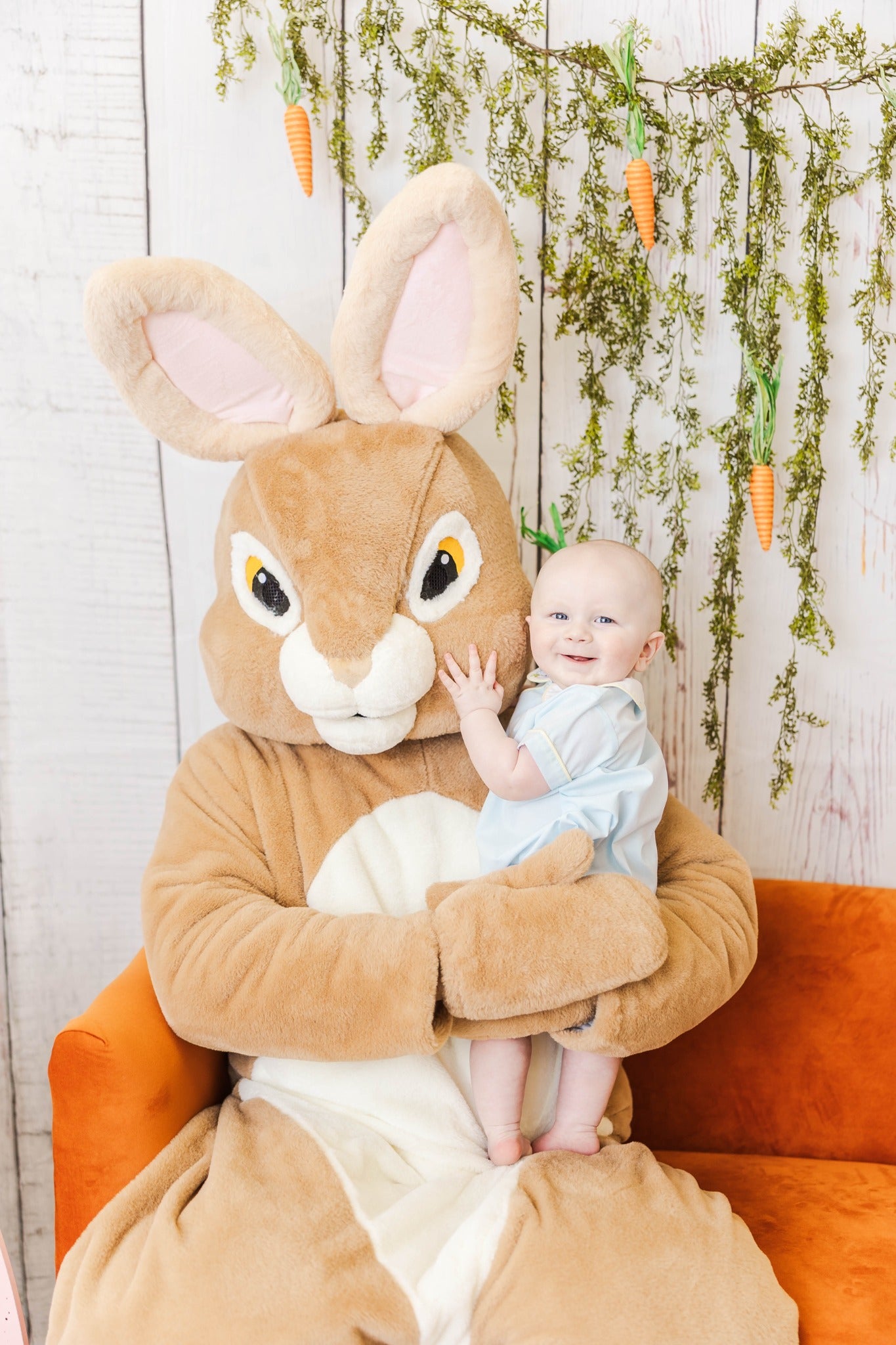 Easter Pictures (Peter Rabbit)