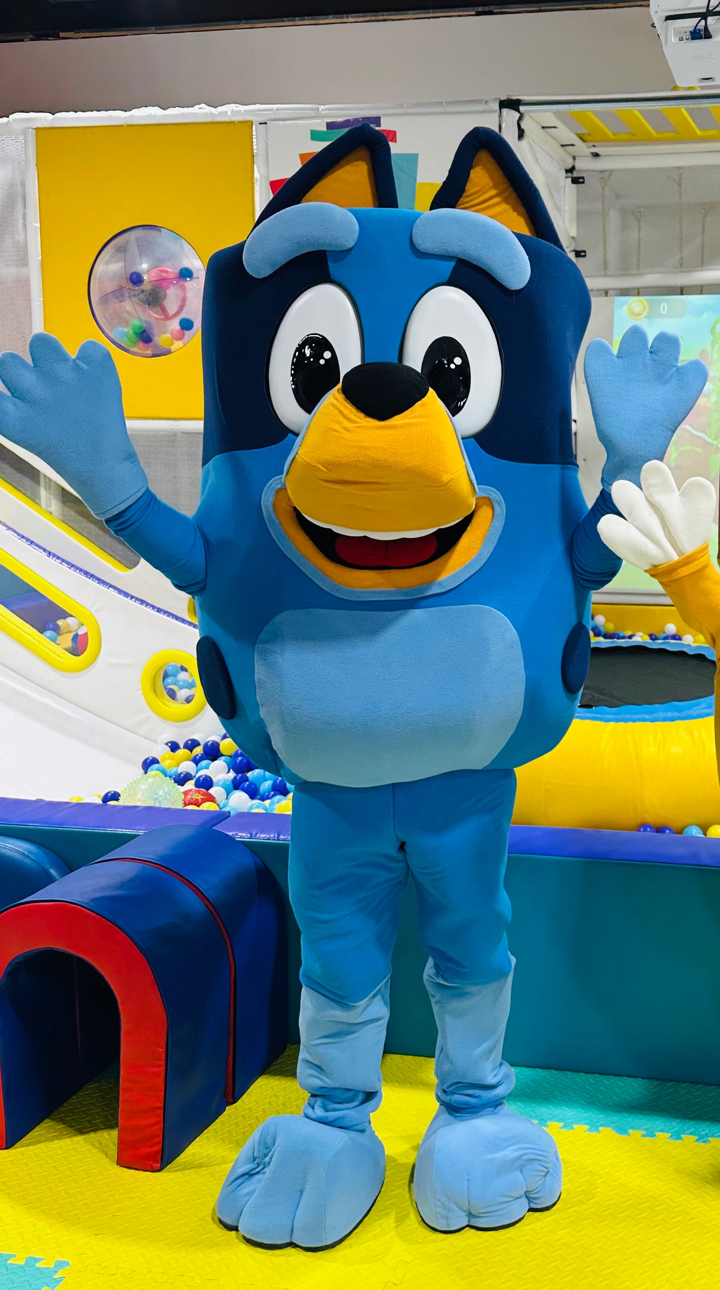 Bluey