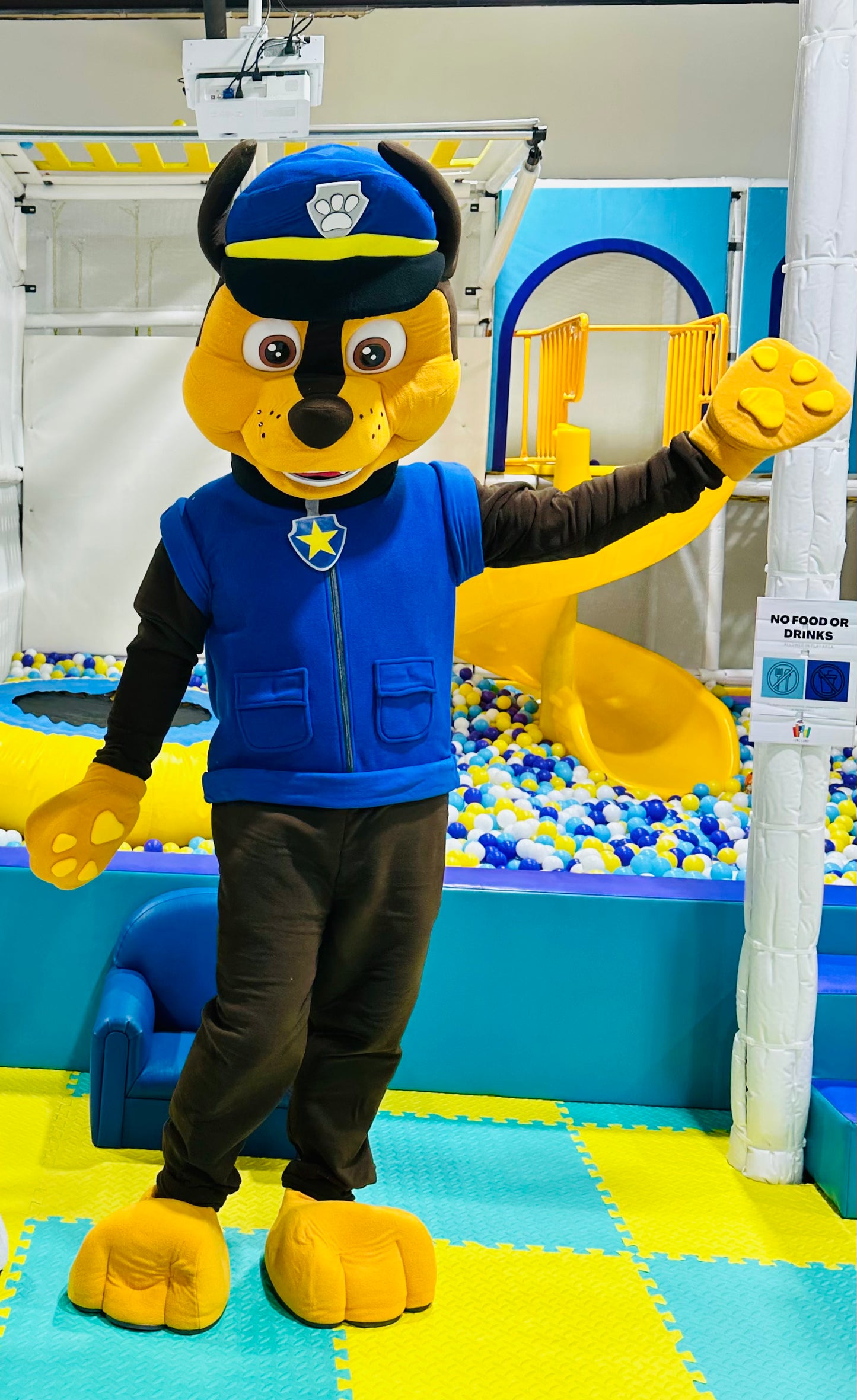 Marshall Paw Patrol