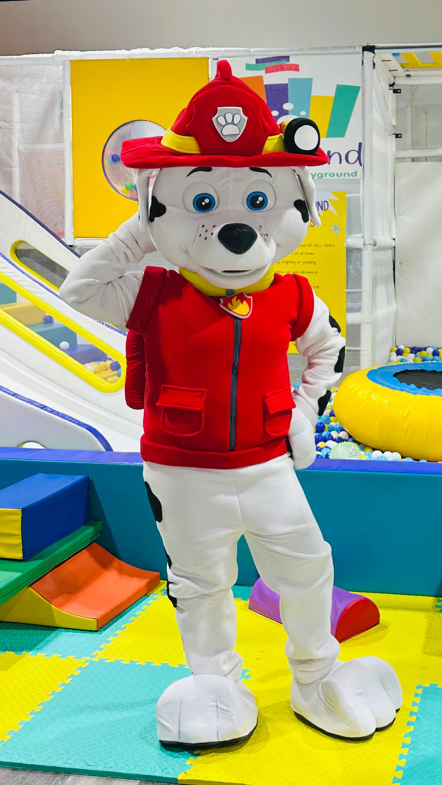 Chase Paw Patrol
